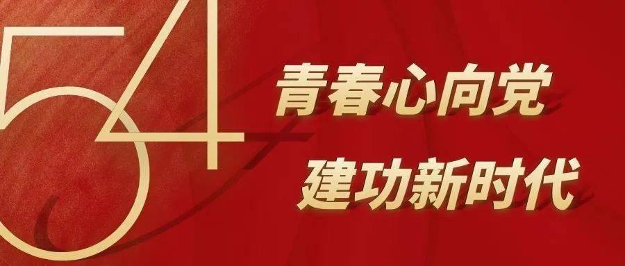 救援小蝙蝠